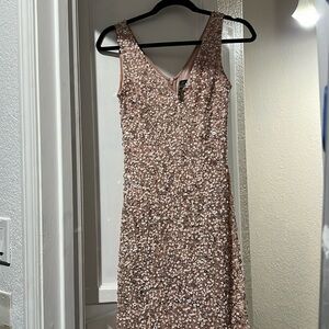 Adrianna Papell Size 2 Blush V Neckline Beaded Gown